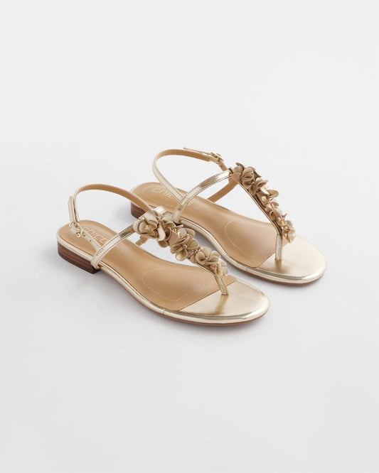 Chico's Women | Sioux Flower T-Strap Sandals GOLD